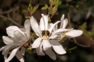 Christa Axthammer_13