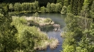 Teich bei Neumarkt Kopie