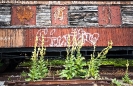 MW_M01_7720_Klein