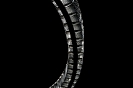 ih_tigerturtles_DSC_7678_klein