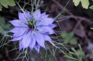 20190322_125800B